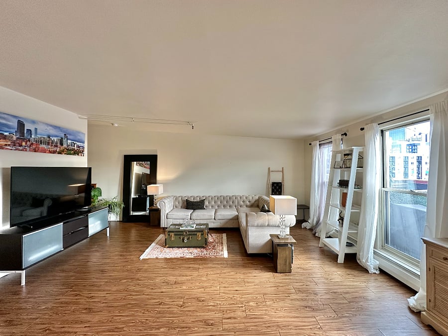 Living Room View 3