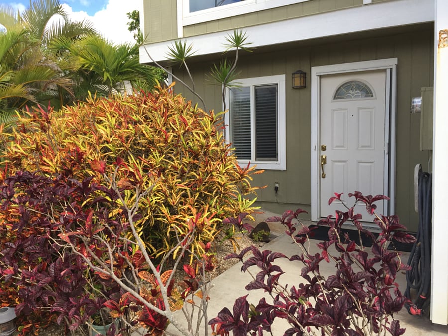 Furnished Finder property 688170_1 photo 16