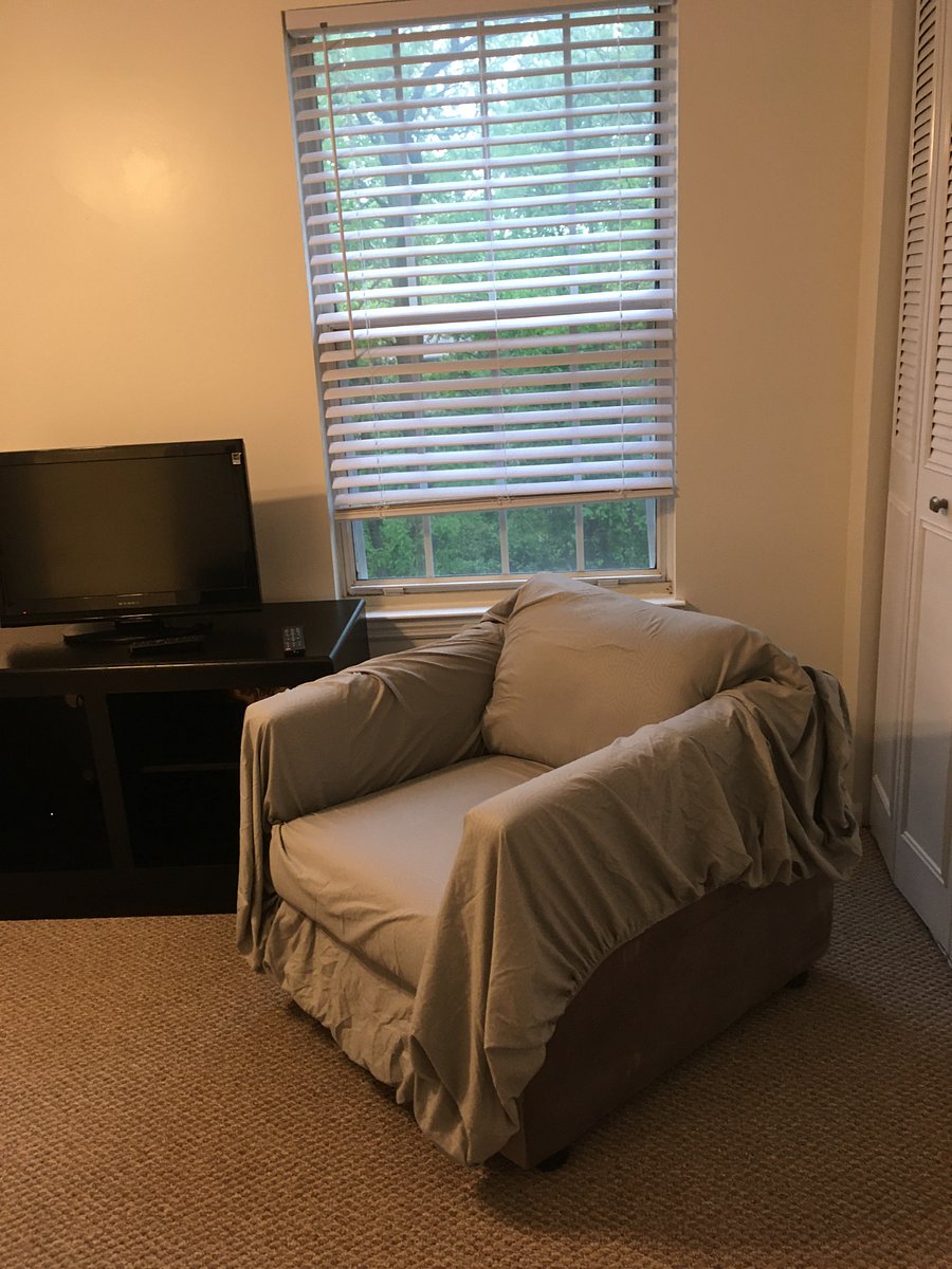 Furnished Finder property 688231_2 photo 9