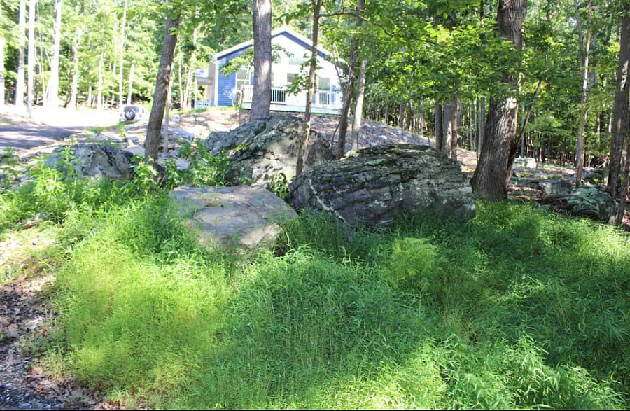 Furnished Finder property 688281_1 photo 6