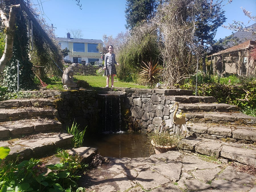 Secret garden down the street.