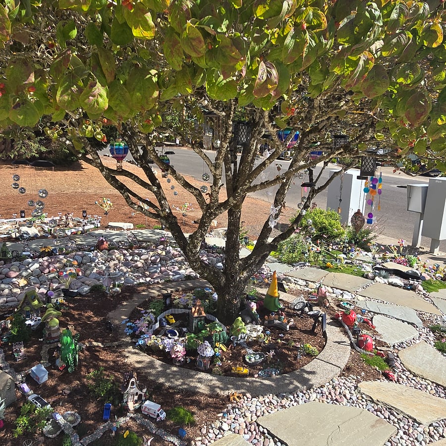Fairy garden next door. Open to all!