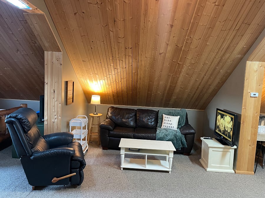 Living Area. Queen size pull out couch