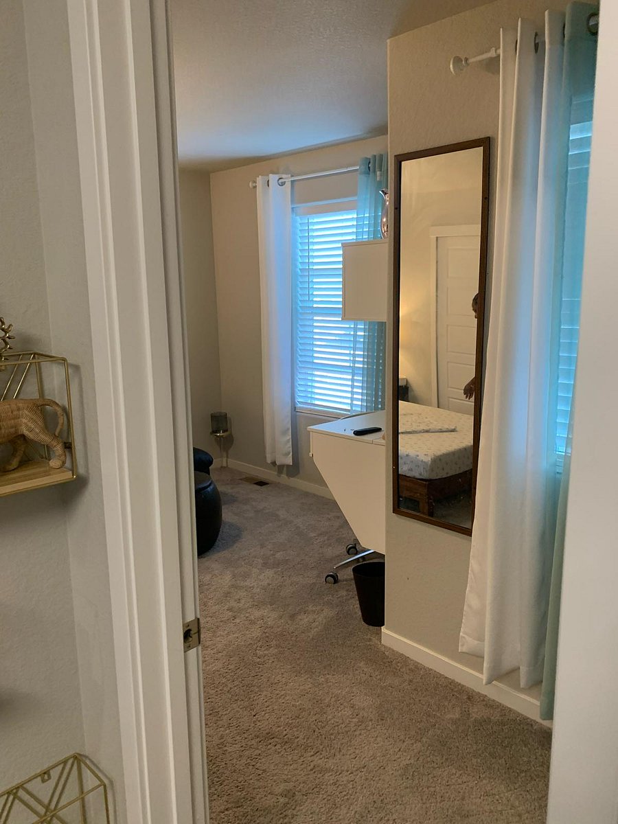 Furnished Finder property 688683_3 photo 11