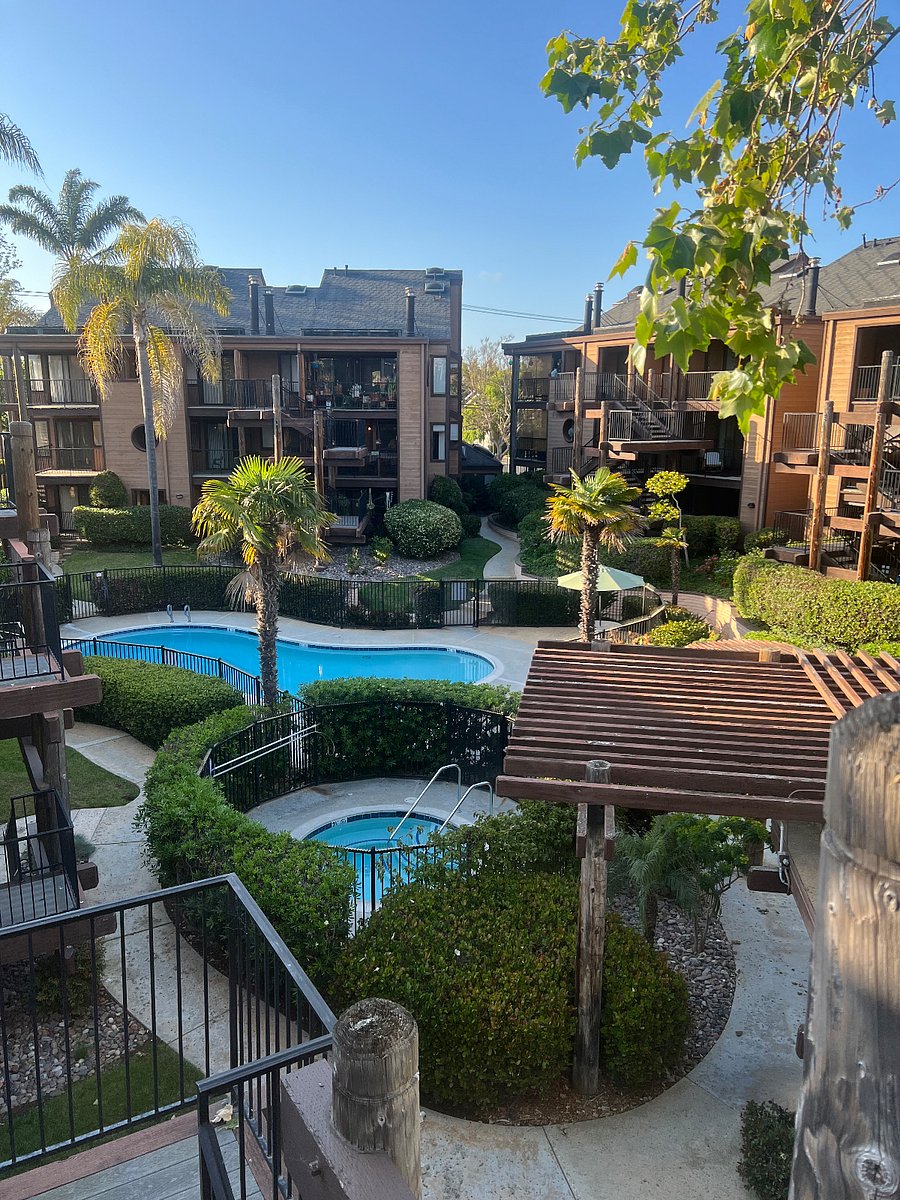 Furnished Finder property 688700_1 photo 8