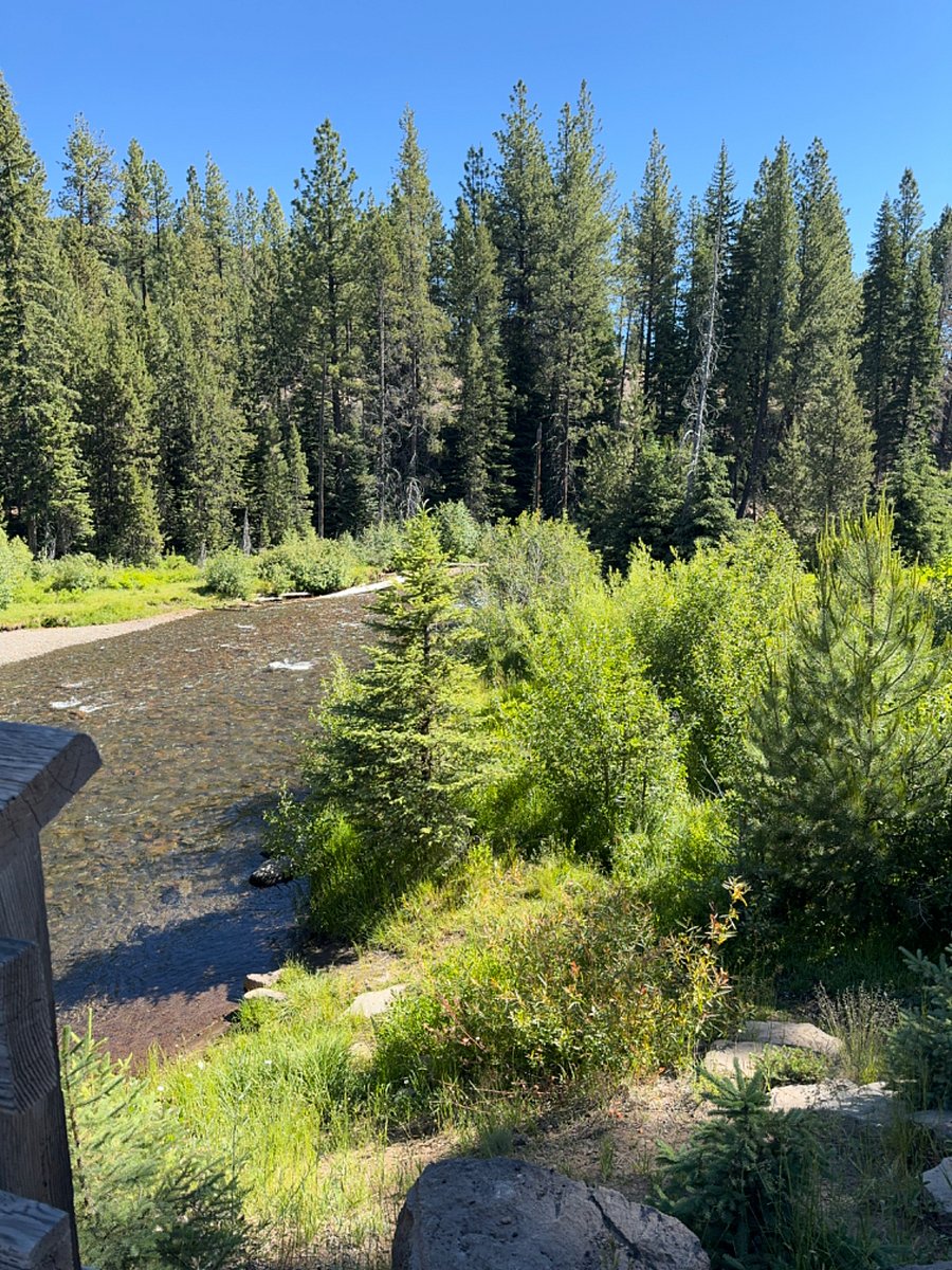Near Deschutes River