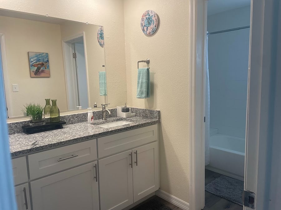 main bathroom- walk in closet to the left