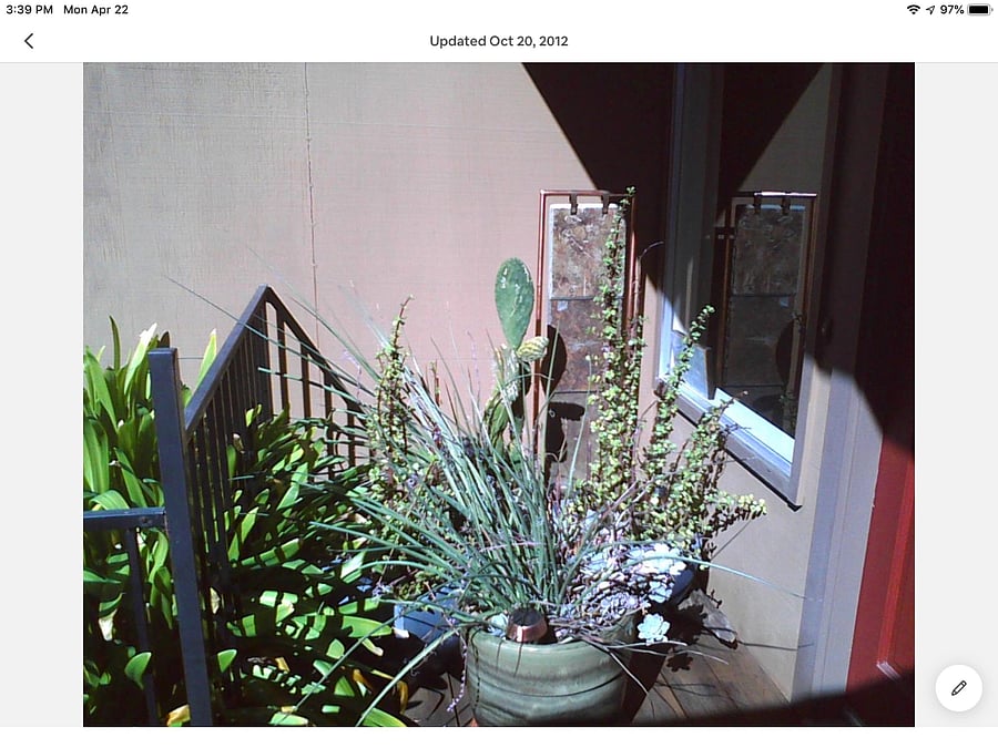 front porch