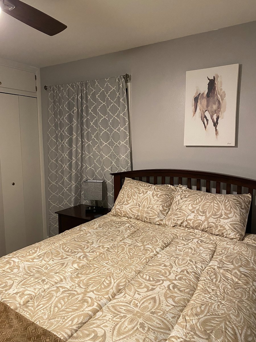 Furnished Finder property 689090_1 photo 11