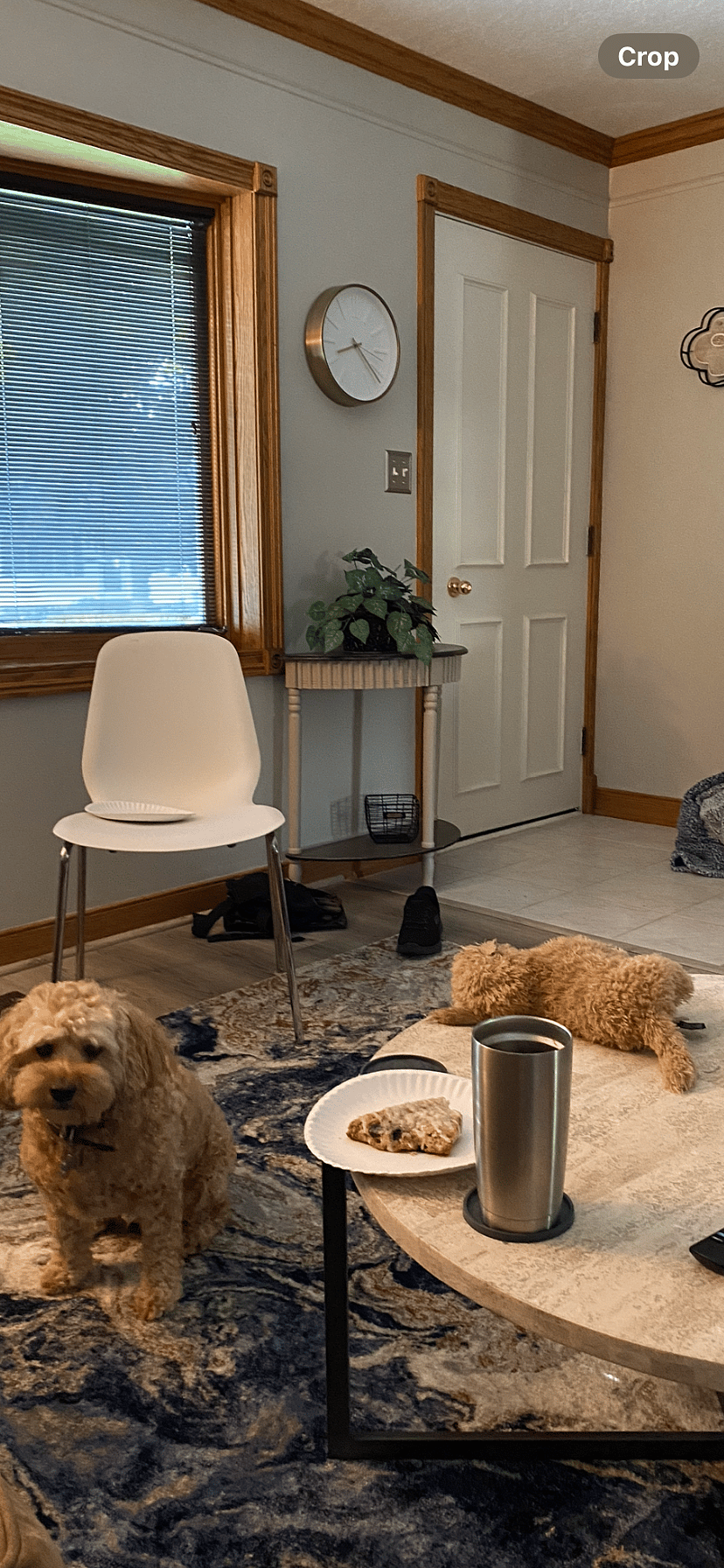 Furnished Finder property 689090_1 photo 10