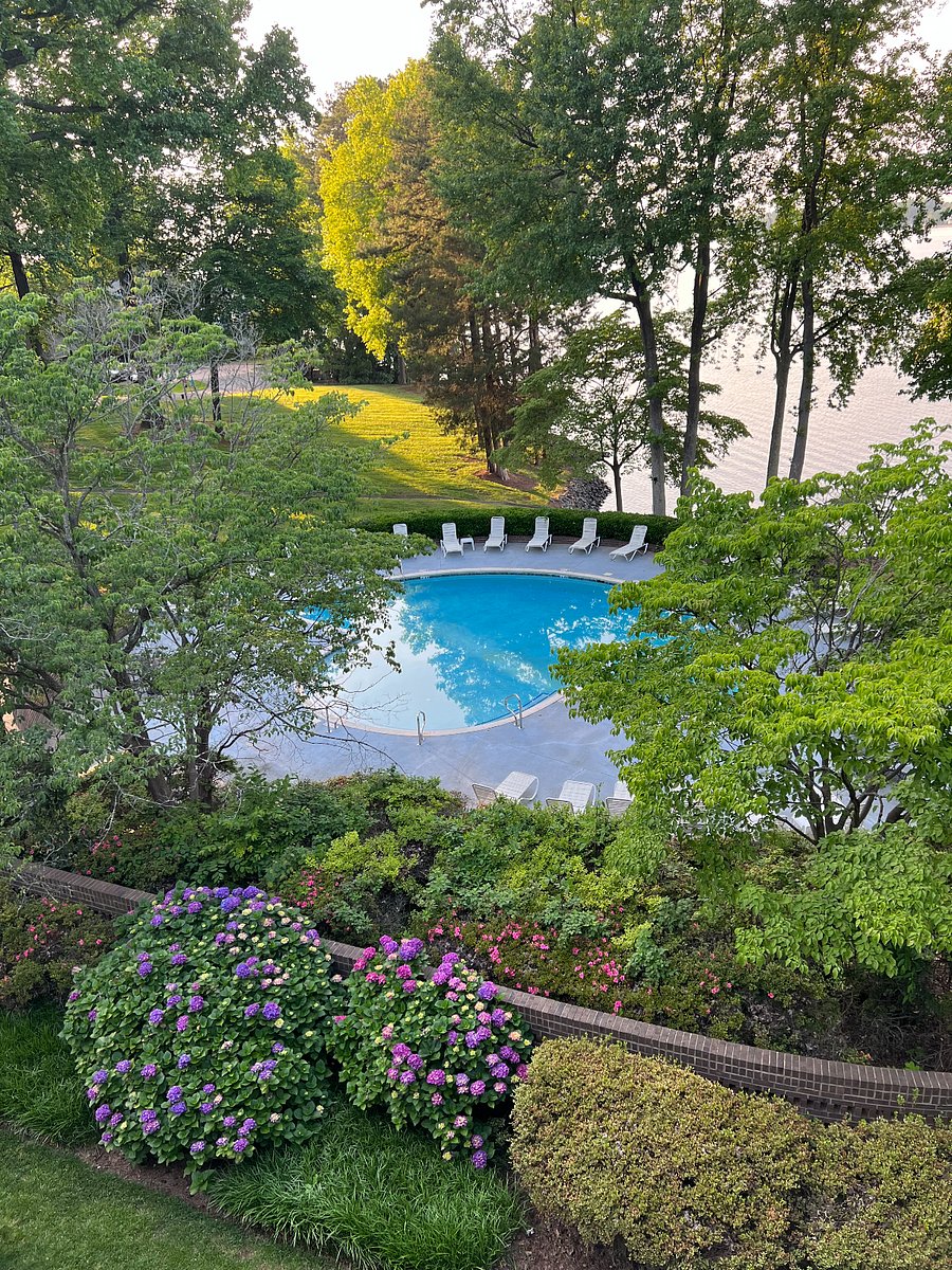 Furnished Finder property 689126_1 photo 3