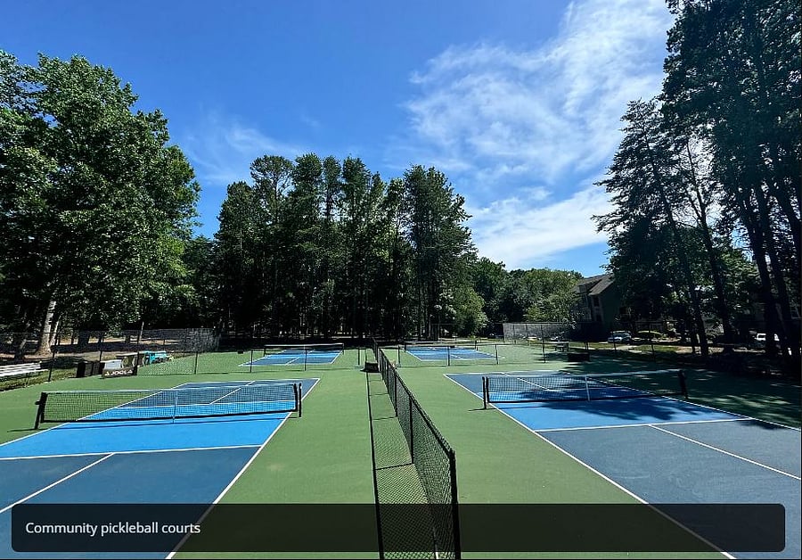 Community Pickle Ball