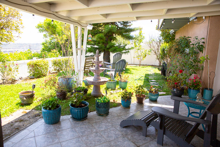 Backyard Garden View