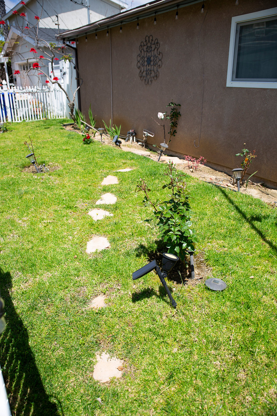 Front Yard Garden View