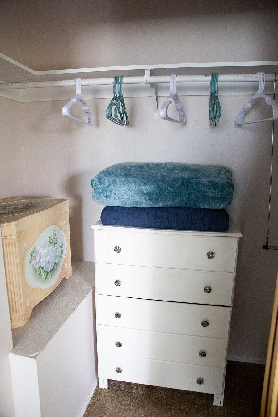 Left Side of Double-Mirrored Closet