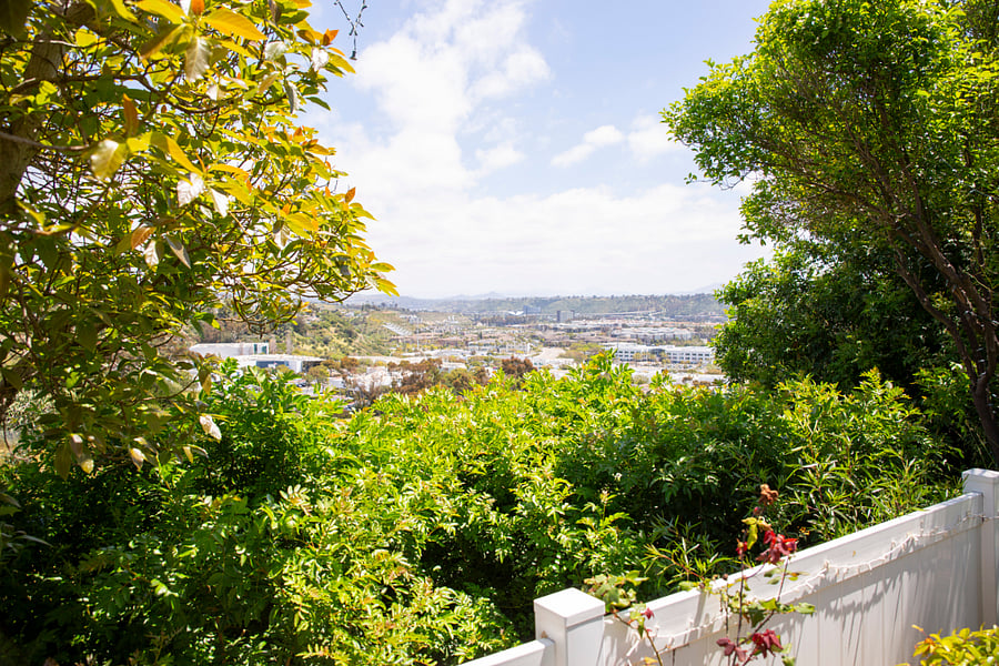 Backyard View