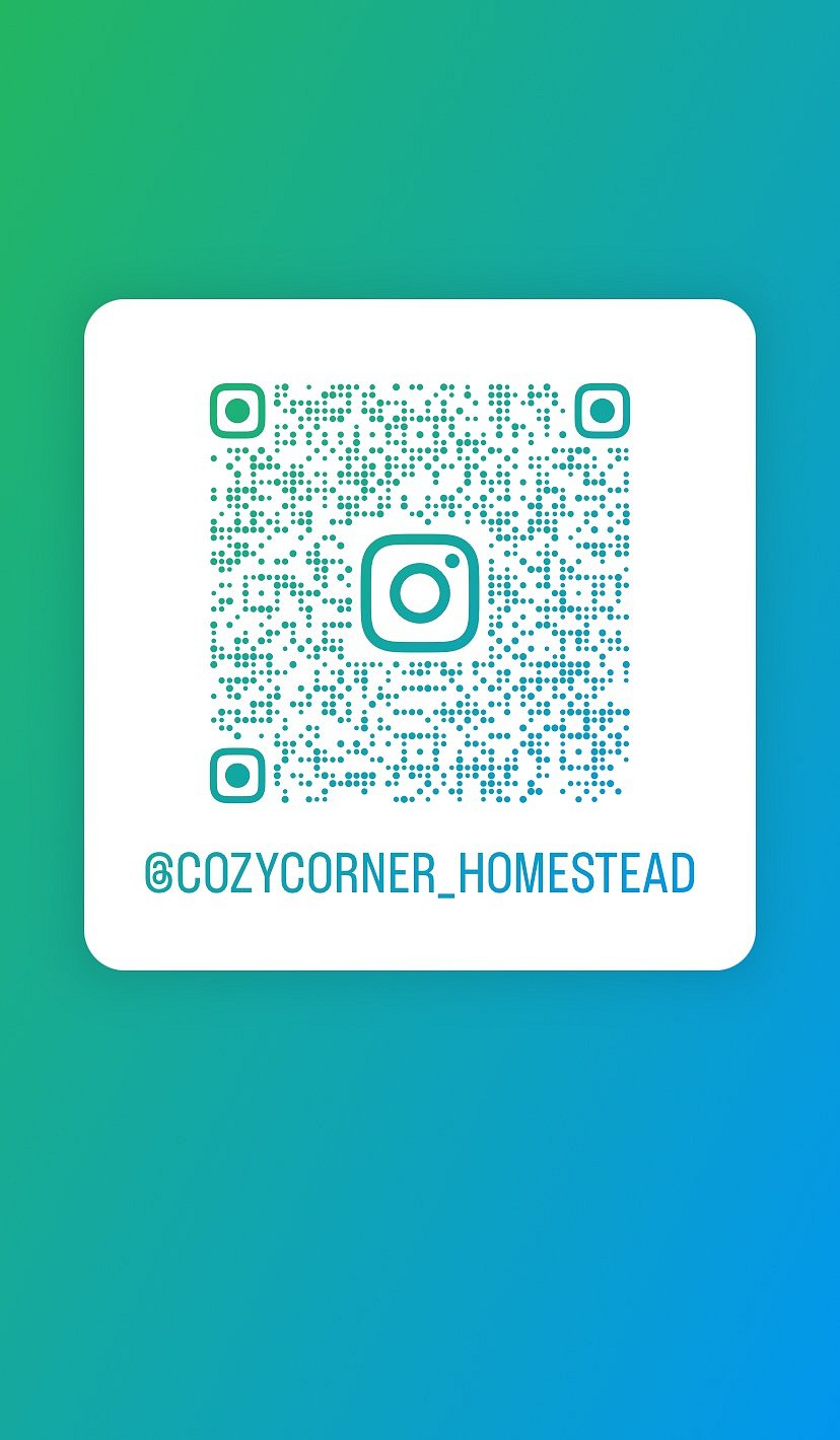 Follow us on Instagram!