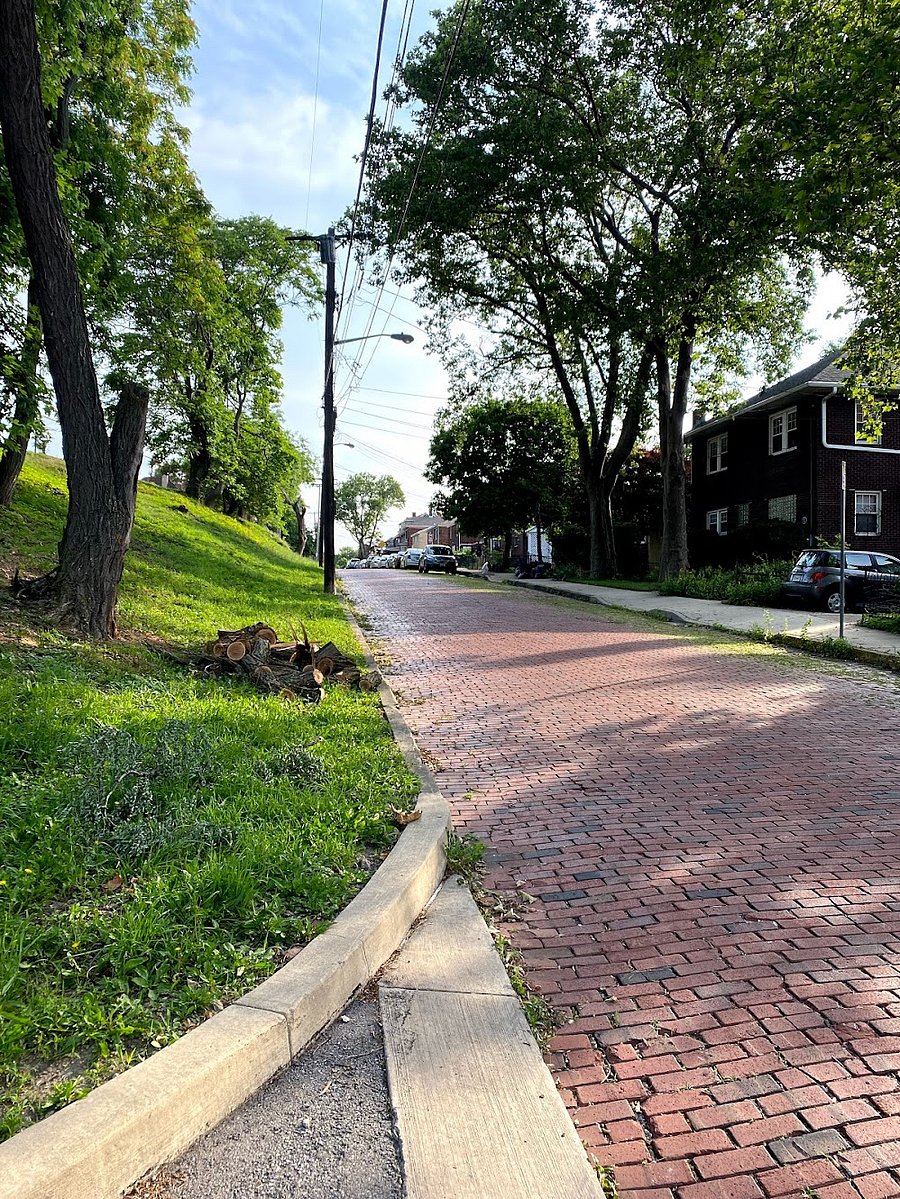 Street