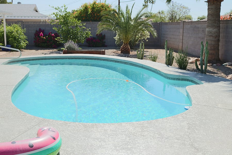 pool and backyard