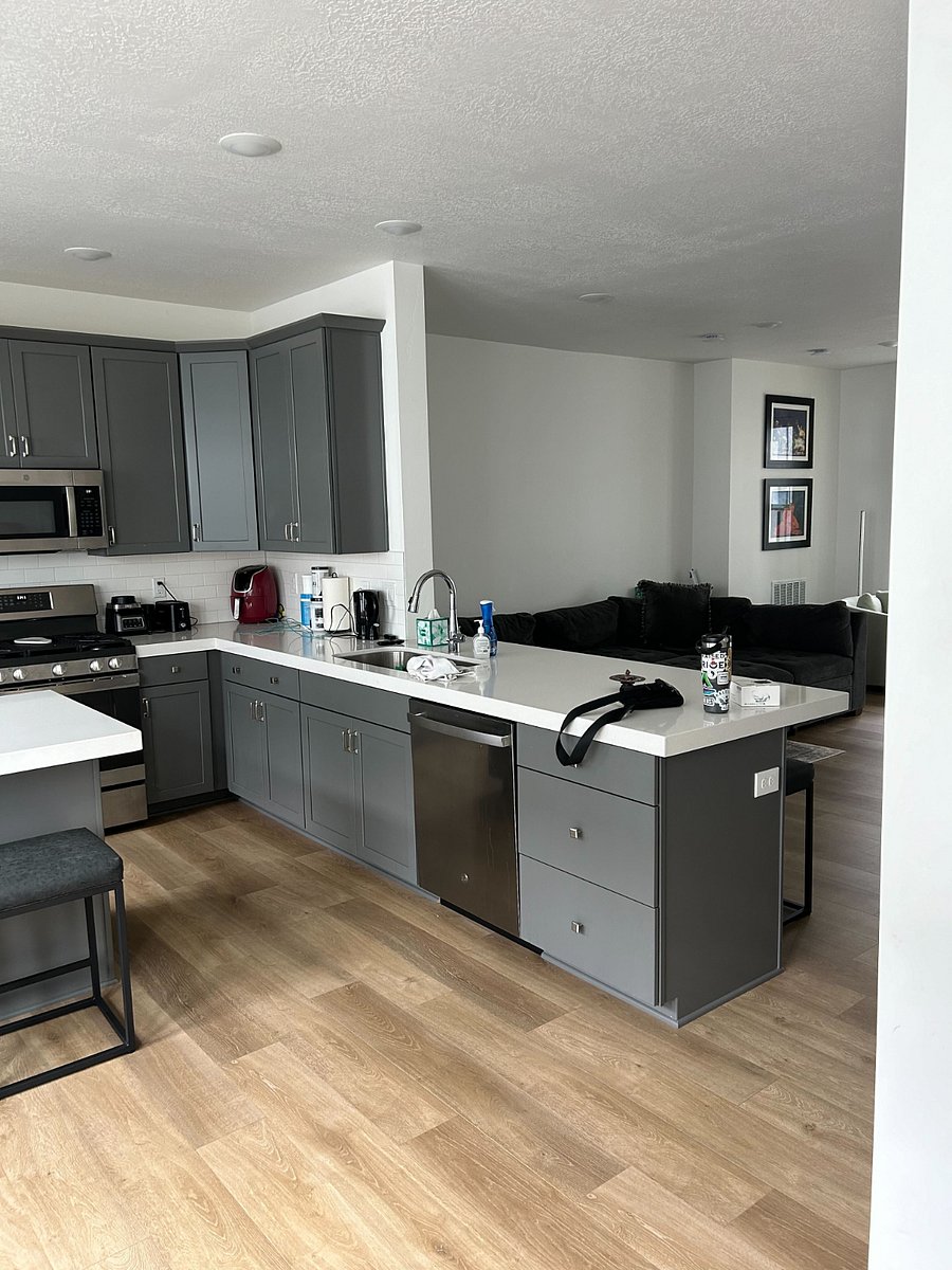 Kitchen peninsula and living room