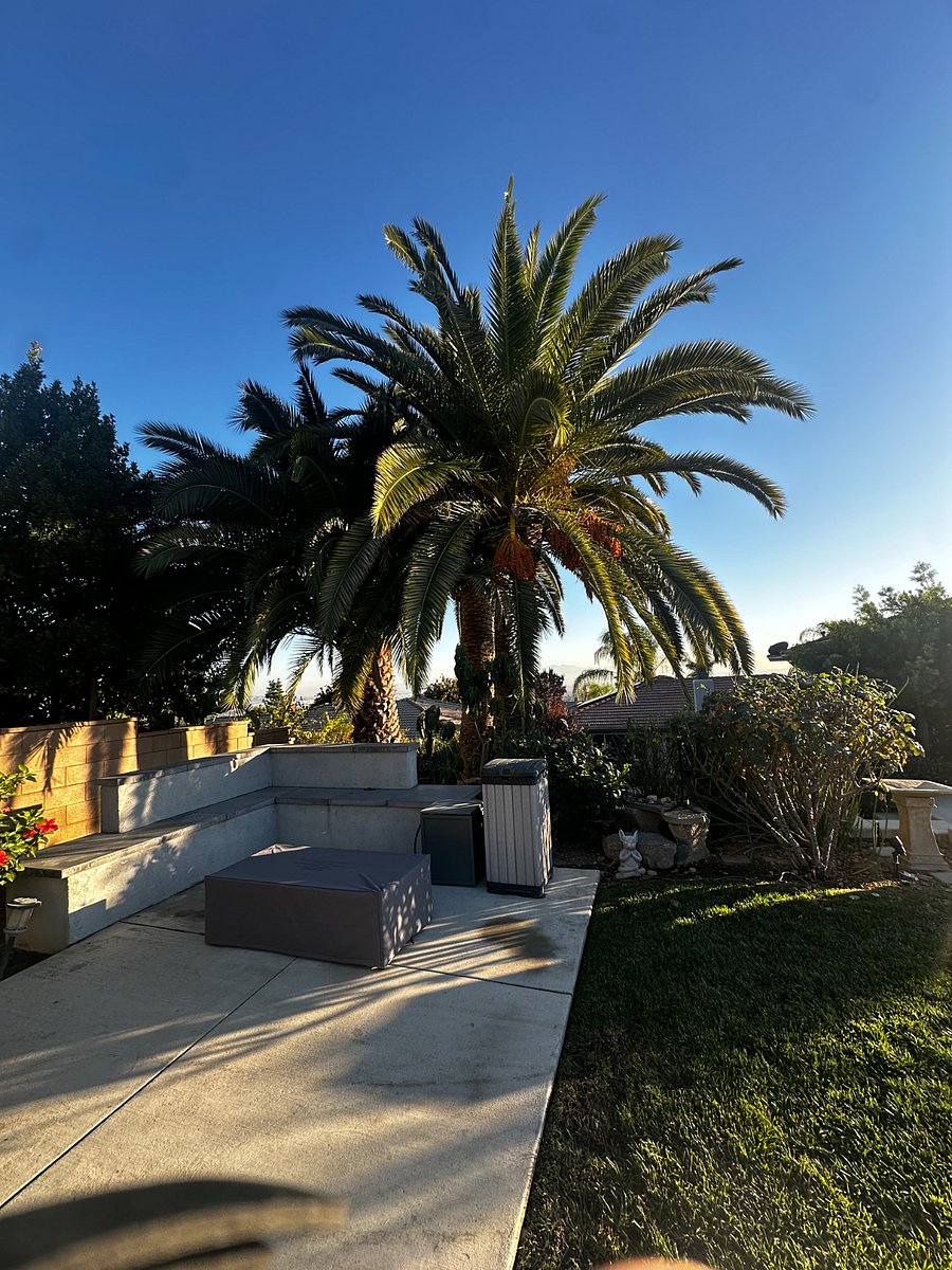 Furnished Finder property 689430_1 photo 12