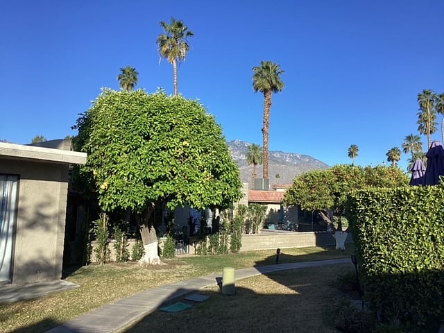 Furnished Finder property 689574_1 photo 14