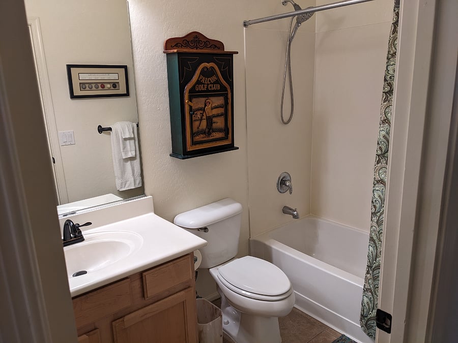 Hall bathroom