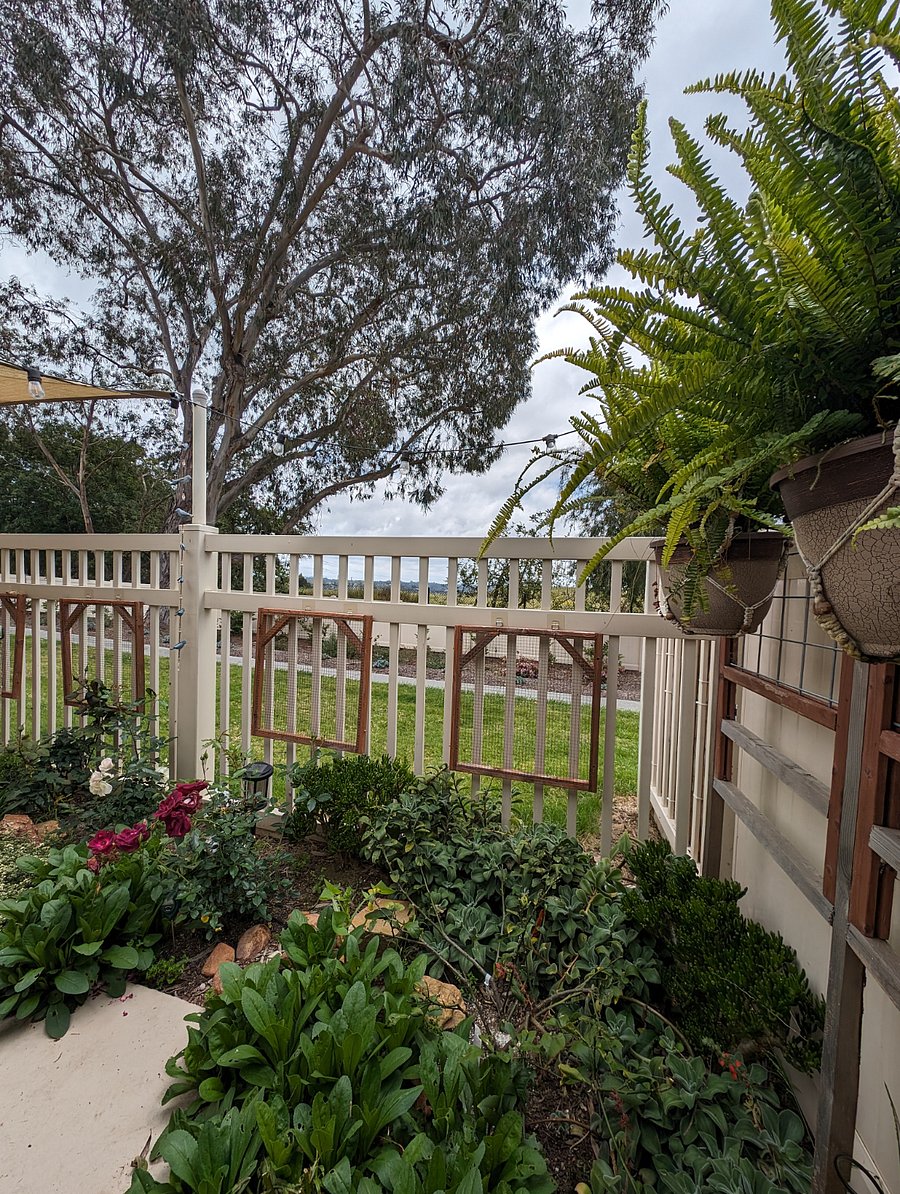 Back patio with view of preserve and southern Encinitas