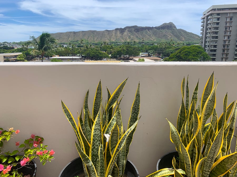 Furnished Finder property 690083_1 photo 14