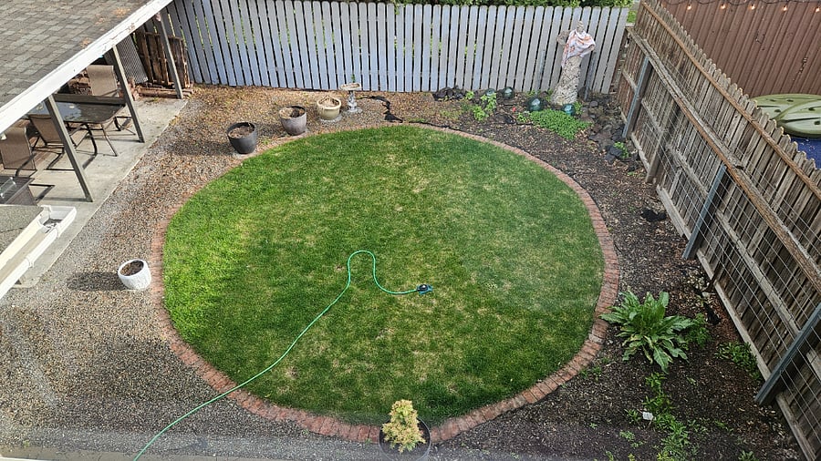 View of back yard from the kitchen.