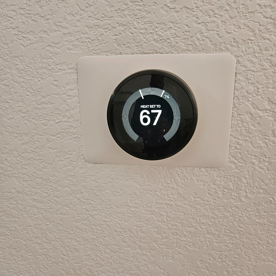 Nest