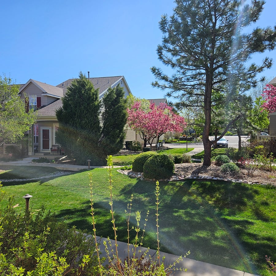 Front door view