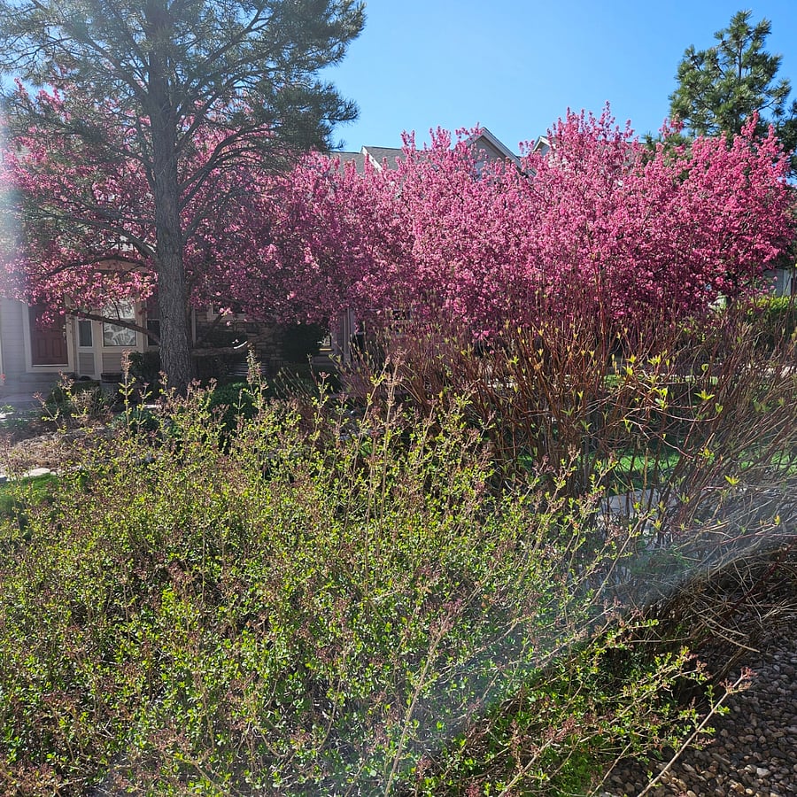 View from front door