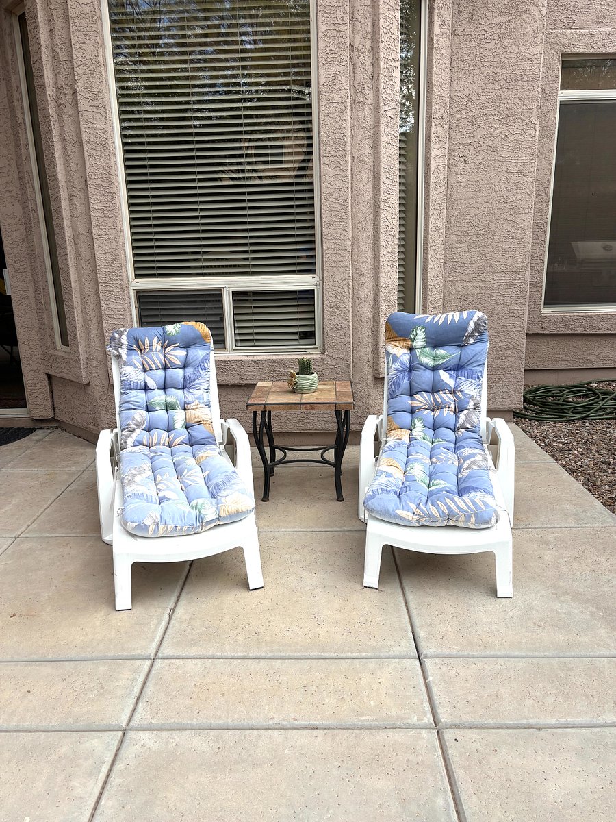 Backyard loungers