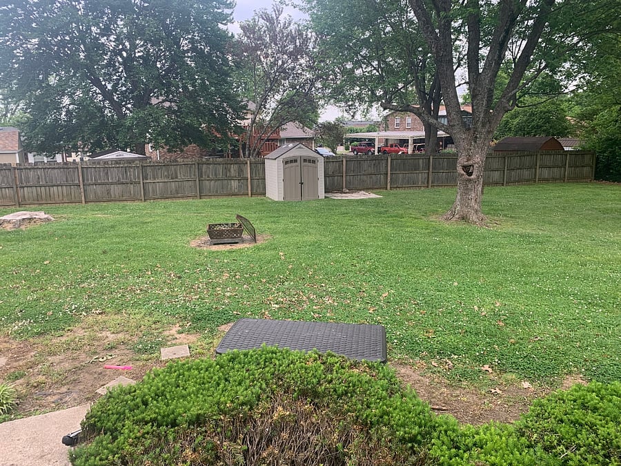 Large backyard for leisurely use.