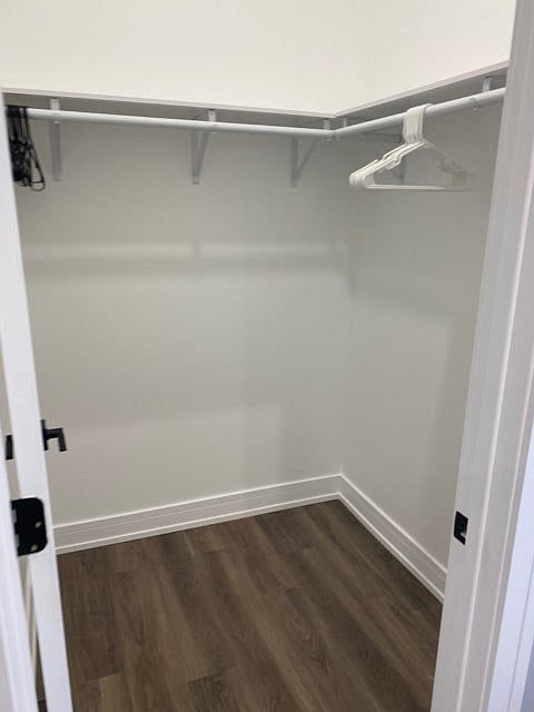 Master Bedroom's Closet