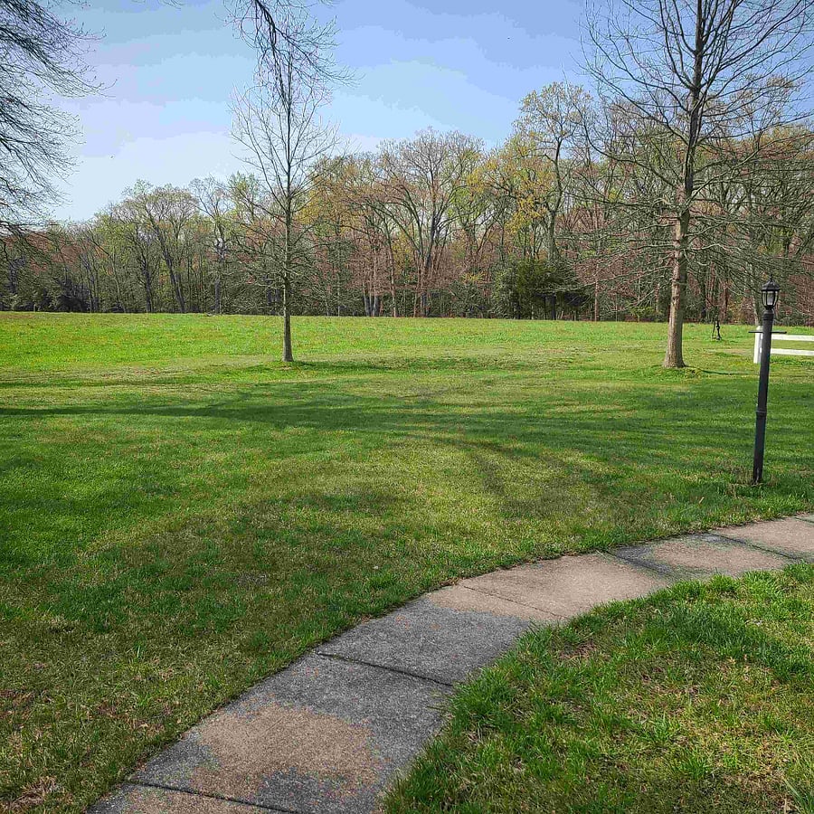 Front yard view from main entrance door