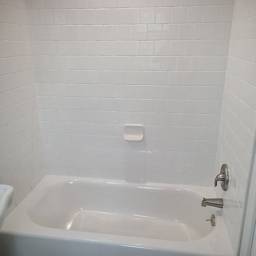 Master bathroom shower/tub