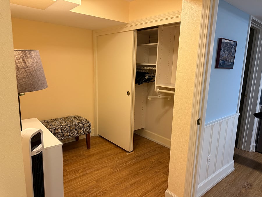 Bedroom Closet and Dressing Area