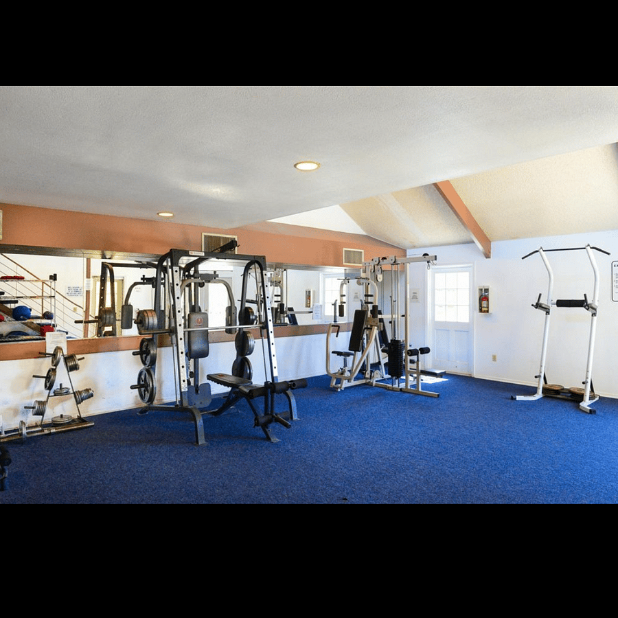 Gym with Pull Up Bar & Machines