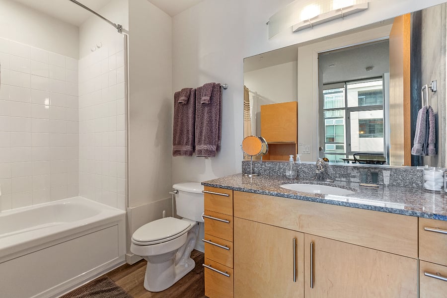 Master bathroom