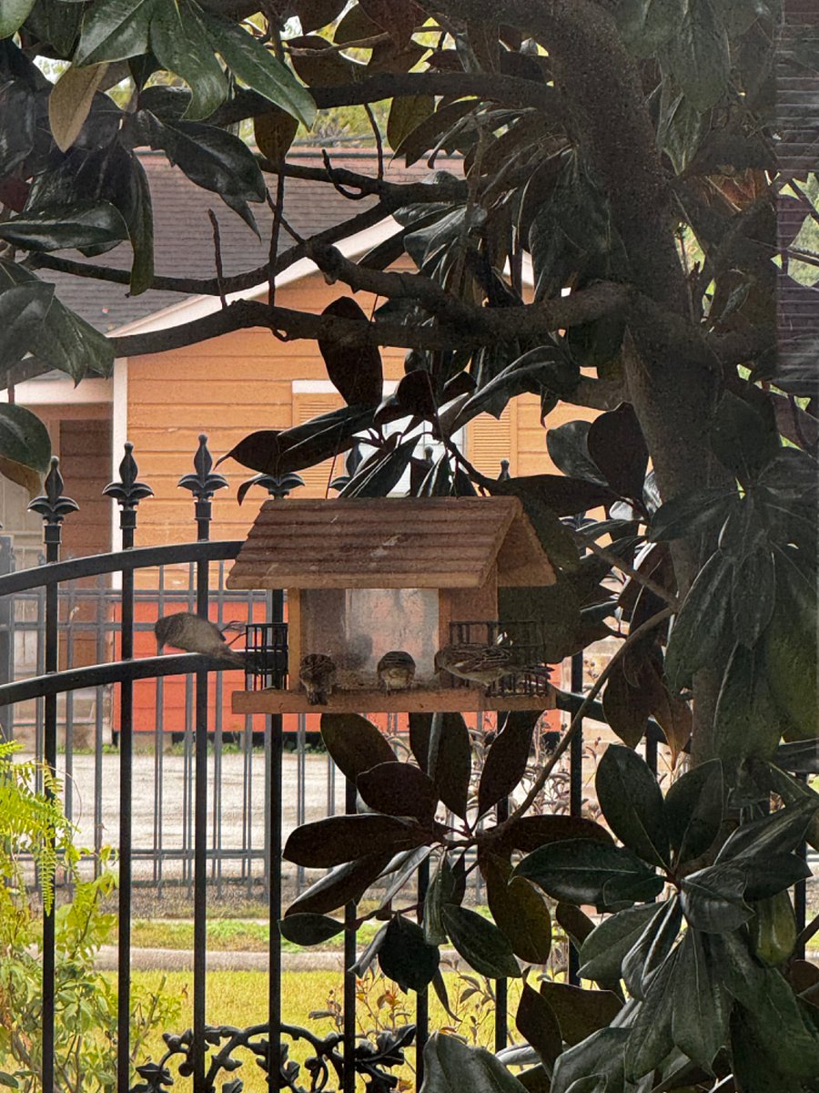 Who doesnt enjoy a little bird watching