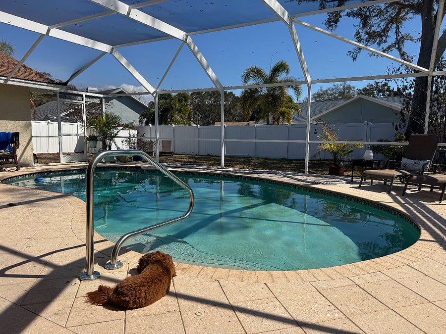 Furnished Finder property 691812_1 photo 20