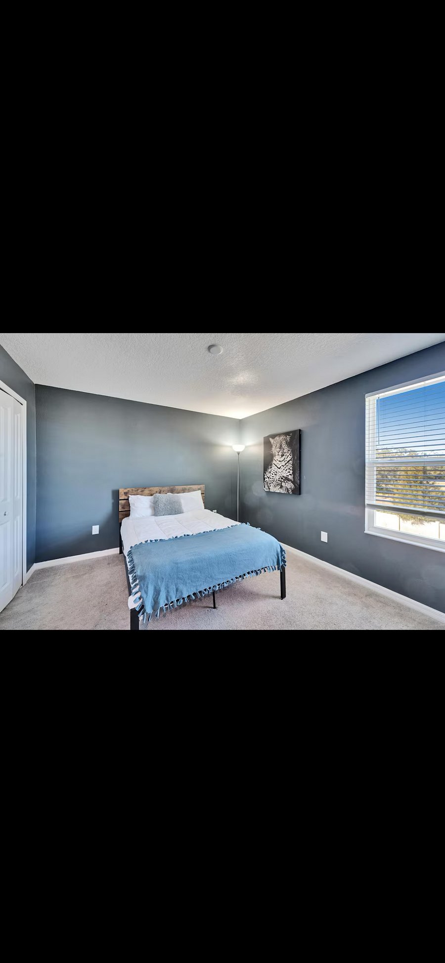 Furnished Finder property 691887_1 photo 6
