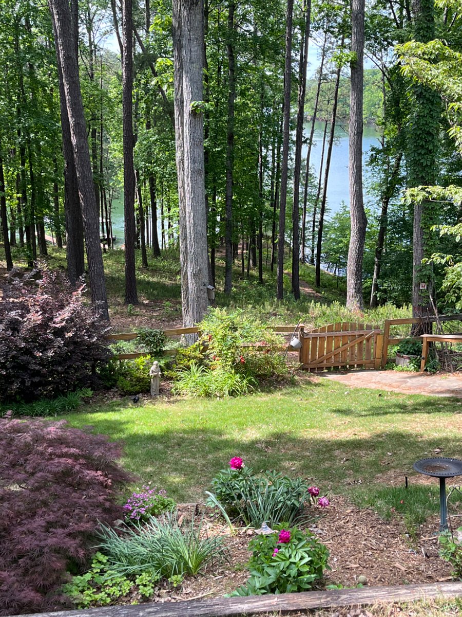 View of Lake and Pollen Garden