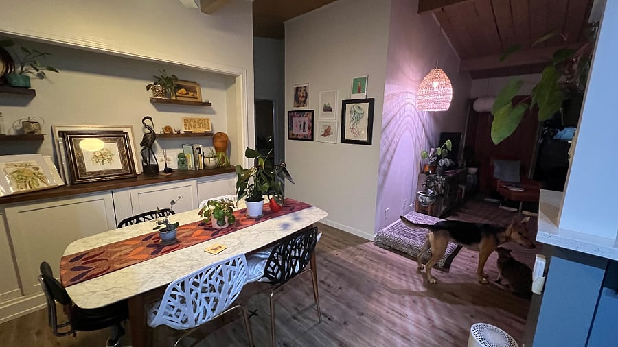 Dining room will have this furniture and a few decorations, but not all these knick knacks and plants!