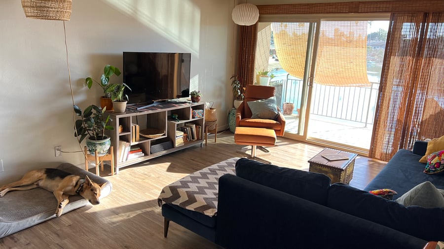 This is the living room and balcony. It will also have all the pictured furniture and lighting, minus the knick-knacks and plants.