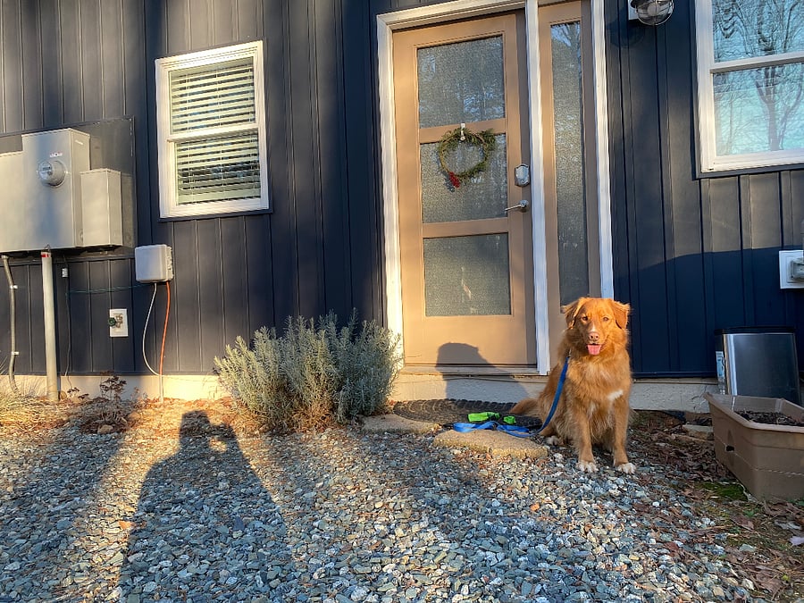 Pet-friendly & welcoming: We welcome well-behaved pets with easy outdoor access and a calm setting thats great for both humans and dogs.