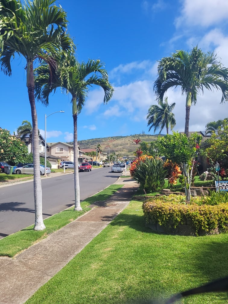 Beautiful views of neighborhood 