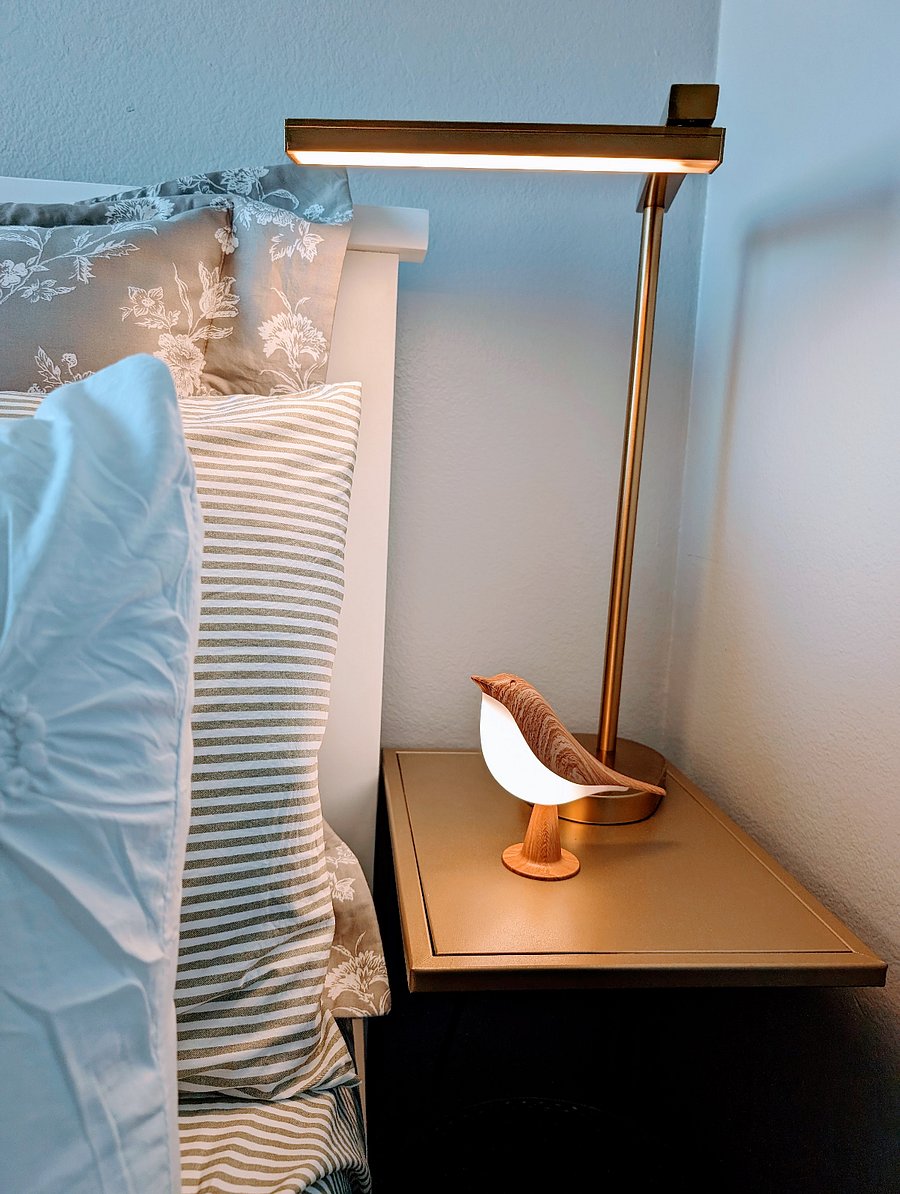 Bird is a rechargeable, dimmable touch light which can be moved anywhere in the room that you like.